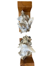 Carica l&#39;immagine nel visualizzatore di Gallery, Coppia di cani ferma libri in ceramica, Cacciapuoti, XX secolo
